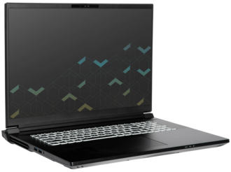 System76 Bonobo WS